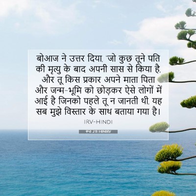 Picture 07 - रूत 2:11 HINIRV - बोआज ने उत्तर दिया, - Bible Verse Picture