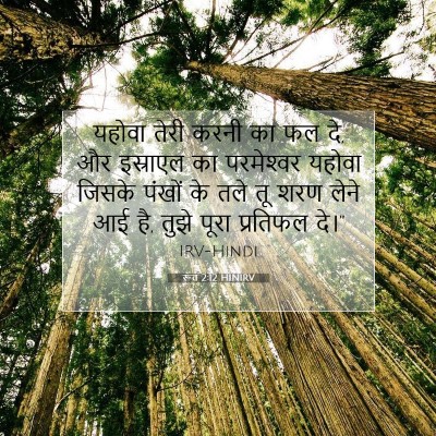 Picture 07 - रूत 2:12 HINIRV - यहोवा तेरी करनी का - Bible Verse Picture