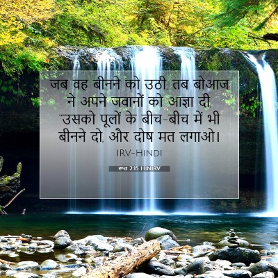 Picture 07 - रूत 2:15 HINIRV - जब वह बीनने को उठी, - Bible Verse Picture