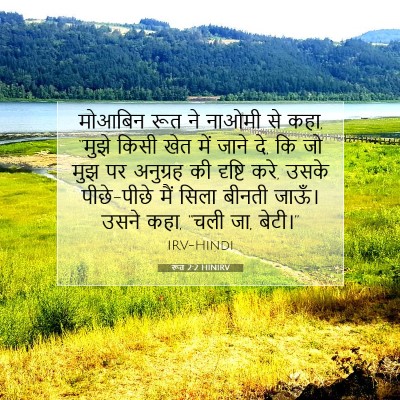 Picture 07 - रूत 2:2 HINIRV - मोआबिन रूत ने - Bible Verse Picture