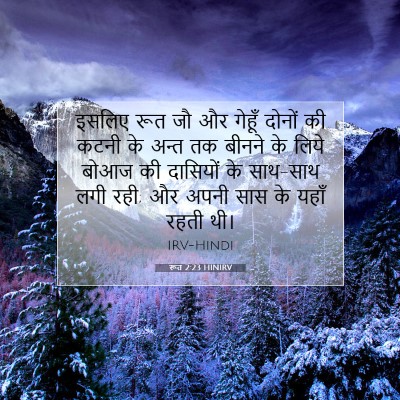 Picture 07 - रूत 2:23 HINIRV - इसलिए रूत जौ और - Bible Verse Picture