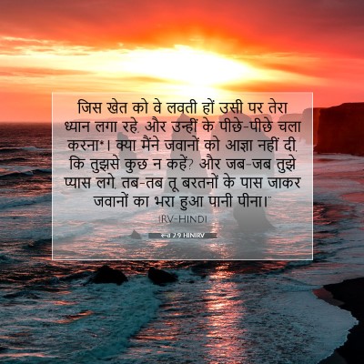Picture 07 - रूत 2:9 HINIRV - जिस खेत को वे लवती - Bible Verse Picture