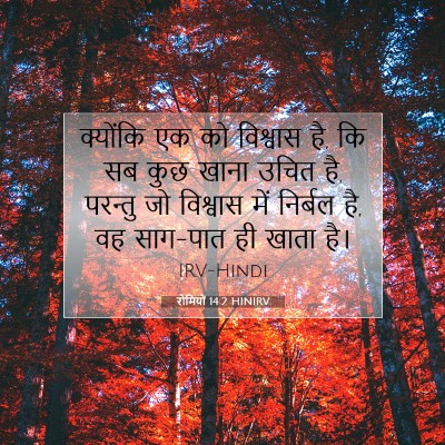 Picture 07 - रोमियों 14:2 HINIRV - क्योंकि एक को - Bible Verse Picture
