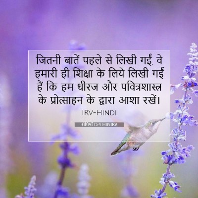 Picture 07 - रोमियों 15:4 HINIRV - जितनी बातें पहले - Bible Verse Picture