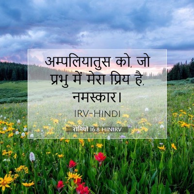 Picture 07 - रोमियों 16:8 HINIRV - अम्पलियातुस को, जो - Bible Verse Picture