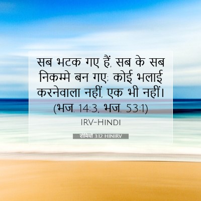 Picture 07 - रोमियों 3:12 HINIRV - सब भटक गए हैं, सब के - Bible Verse Picture