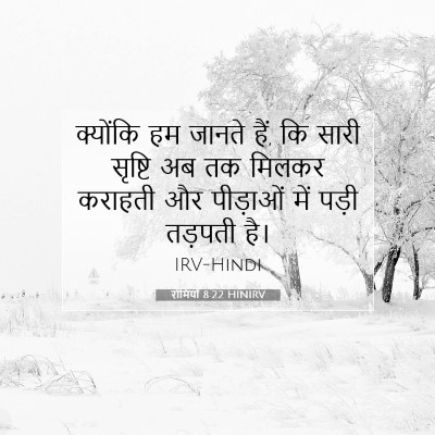 Picture 07 - रोमियों 8:22 HINIRV - क्योंकि हम जानते - Bible Verse Picture