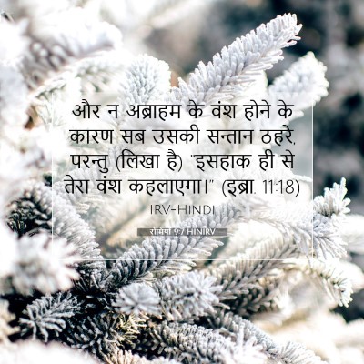 Picture 07 - रोमियों 9:7 HINIRV - और न अब्राहम के वंश - Bible Verse Picture