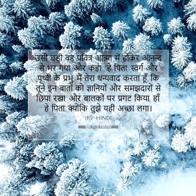 Picture 07 - लूका 10:21 HINIRV - उसी घड़ी वह पवित्र - Bible Verse Picture