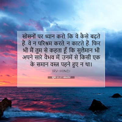 Picture 07 - लूका 12:27 HINIRV - सोसनों पर ध्यान - Bible Verse Picture