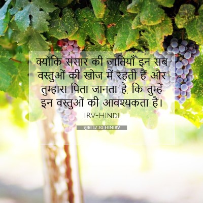 Picture 07 - लूका 12:30 HINIRV - क्योंकि संसार की - Bible Verse Picture