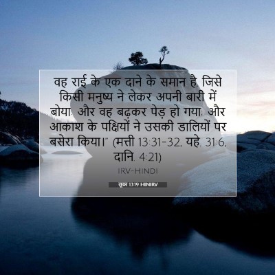 Picture 07 - लूका 13:19 HINIRV - वह राई के एक दाने - Bible Verse Picture