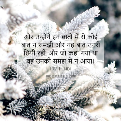 Picture 07 - लूका 18:34 HINIRV - और उन्होंने इन - Bible Verse Picture