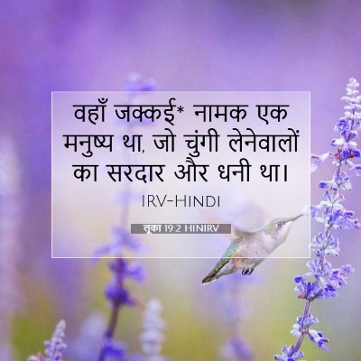 Picture 07 - लूका 19:2 HINIRV - वहाँ जक्कई* नामक एक - Bible Verse Picture