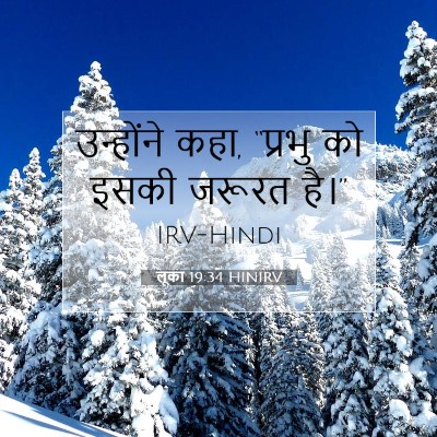Picture 07 - लूका 19:34 HINIRV - उन्होंने कहा, - Bible Verse Picture