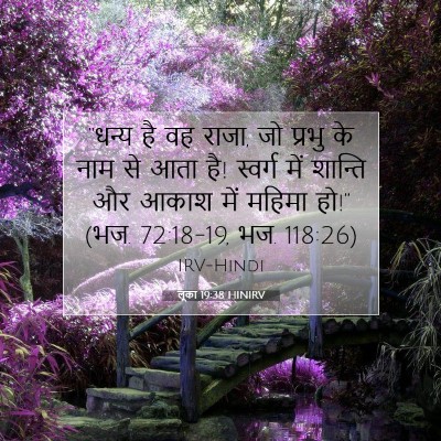 Picture 07 - लूका 19:38 HINIRV - “धन्य है वह राजा, - Bible Verse Picture