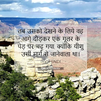 Picture 07 - लूका 19:4 HINIRV - तब उसको देखने के - Bible Verse Picture