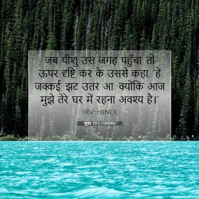 Picture 07 - लूका 19:5 HINIRV - जब यीशु उस जगह - Bible Verse Picture