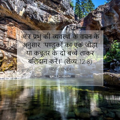 Picture 07 - लूका 2:24 HINIRV - और प्रभु की - Bible Verse Picture