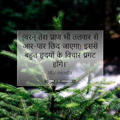 Picture 07 - लूका 2:35 HINIRV - (वरन् तेरा प्राण भी - Bible Verse Picture
