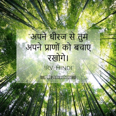 Picture 07 - लूका 21:19 HINIRV - “अपने धीरज से तुम - Bible Verse Picture
