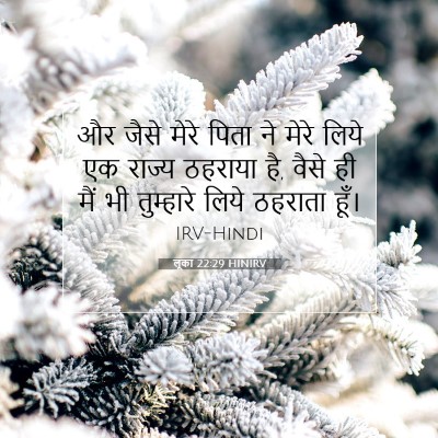 Picture 07 - लूका 22:29 HINIRV - और जैसे मेरे पिता - Bible Verse Picture