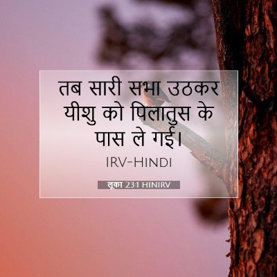 Picture 07 - लूका 23:1 HINIRV - तब सारी सभा उठकर - Bible Verse Picture