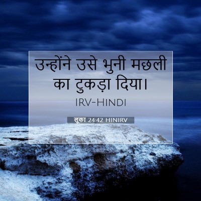 Picture 07 - लूका 24:42 HINIRV - उन्होंने उसे भुनी - Bible Verse Picture