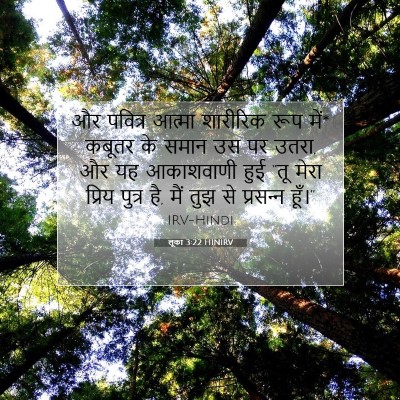 Picture 07 - लूका 3:22 HINIRV - और पवित्र आत्मा - Bible Verse Picture