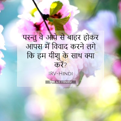 Picture 07 - लूका 6:11 HINIRV - परन्तु वे आपे से - Bible Verse Picture