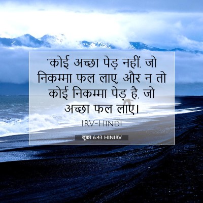 Picture 07 - लूका 6:43 HINIRV - “कोई अच्छा पेड़ - Bible Verse Picture