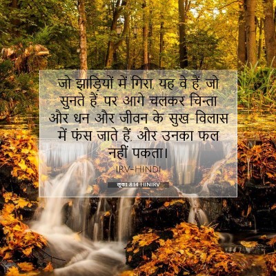 Picture 07 - लूका 8:14 HINIRV - जो झाड़ियों में - Bible Verse Picture