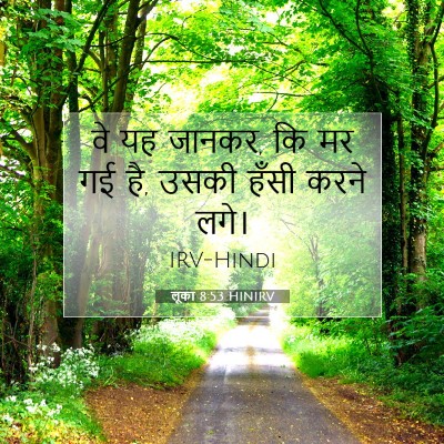 Picture 07 - लूका 8:53 HINIRV - वे यह जानकर, कि मर - Bible Verse Picture