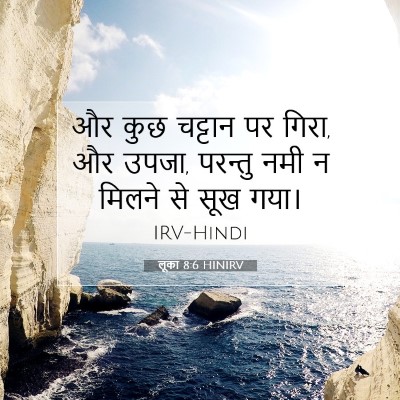 Picture 07 - लूका 8:6 HINIRV - और कुछ चट्टान पर - Bible Verse Picture