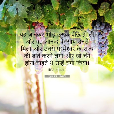 Picture 07 - लूका 9:11 HINIRV - यह जानकर भीड़ उसके - Bible Verse Picture