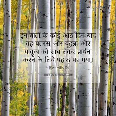 Picture 07 - लूका 9:28 HINIRV - इन बातों के कोई आठ - Bible Verse Picture