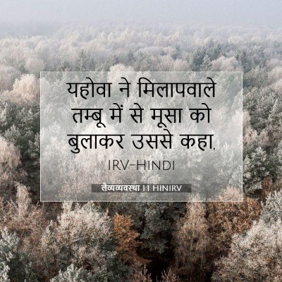 Picture 07 - लैव्यव्यवस्था 1:1 HINIRV - यहोवा ने - Bible Verse Picture