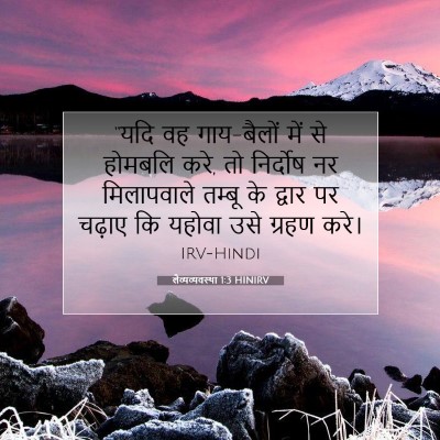 Picture 07 - लैव्यव्यवस्था 1:3 HINIRV - “यदि वह गाय-बैलों - Bible Verse Picture