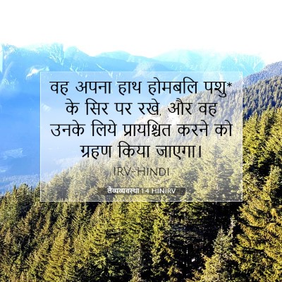 Picture 07 - लैव्यव्यवस्था 1:4 HINIRV - वह अपना हाथ होमबलि - Bible Verse Picture