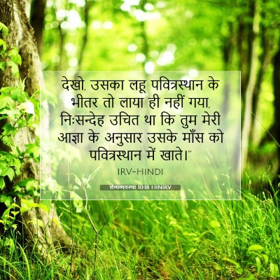 Picture 07 - लैव्यव्यवस्था 10:18 HINIRV - देखो, उसका लहू - Bible Verse Picture