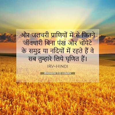 Picture 07 - लैव्यव्यवस्था 11:10 HINIRV - और जलचरी - Bible Verse Picture