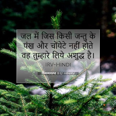 Picture 07 - लैव्यव्यवस्था 11:12 HINIRV - जल में जिस किसी - Bible Verse Picture