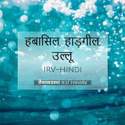 Picture 07 - लैव्यव्यवस्था 11:17 HINIRV - हबासिल, हाड़गील, - Bible Verse Picture