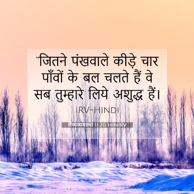 Picture 07 - लैव्यव्यवस्था 11:20 HINIRV - “जितने पंखवाले - Bible Verse Picture