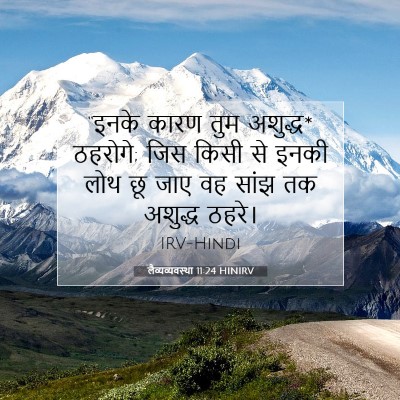 Picture 07 - लैव्यव्यवस्था 11:24 HINIRV - “इनके कारण तुम - Bible Verse Picture