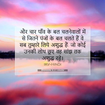 Picture 07 - लैव्यव्यवस्था 11:27 HINIRV - और चार पाँव के बल - Bible Verse Picture