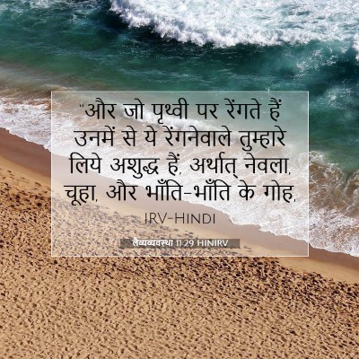 Picture 07 - लैव्यव्यवस्था 11:29 HINIRV - “और जो पृथ्वी पर - Bible Verse Picture
