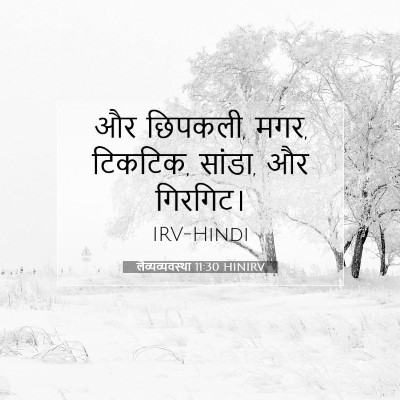 Picture 07 - लैव्यव्यवस्था 11:30 HINIRV - और छिपकली, मगर, - Bible Verse Picture