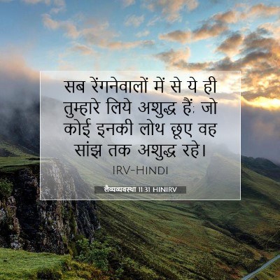 Picture 07 - लैव्यव्यवस्था 11:31 HINIRV - सब रेंगनेवालों - Bible Verse Picture
