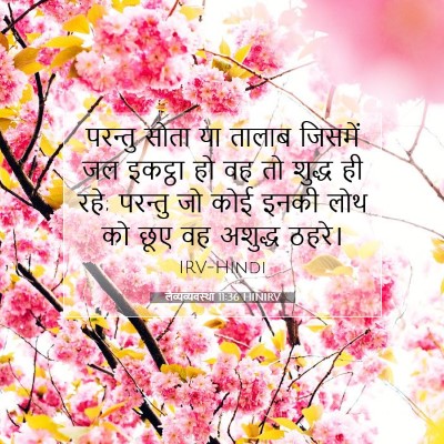 Picture 07 - लैव्यव्यवस्था 11:36 HINIRV - परन्तु सोता या - Bible Verse Picture